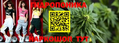 спиды Жуковский